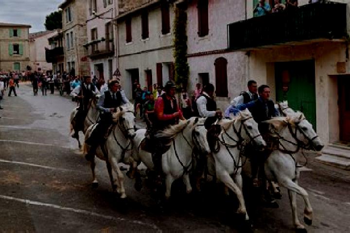 Escorts Vauvert, France — Local Companions