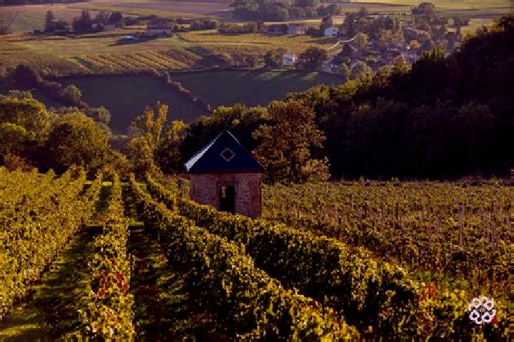 Escorts Vaux-en-Beaujolais, France — Local Companions