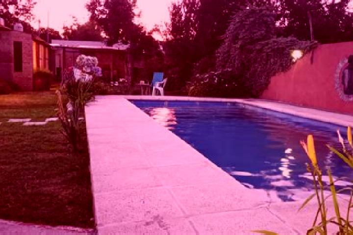 Escorts Vedia, Argentina — Local Companions