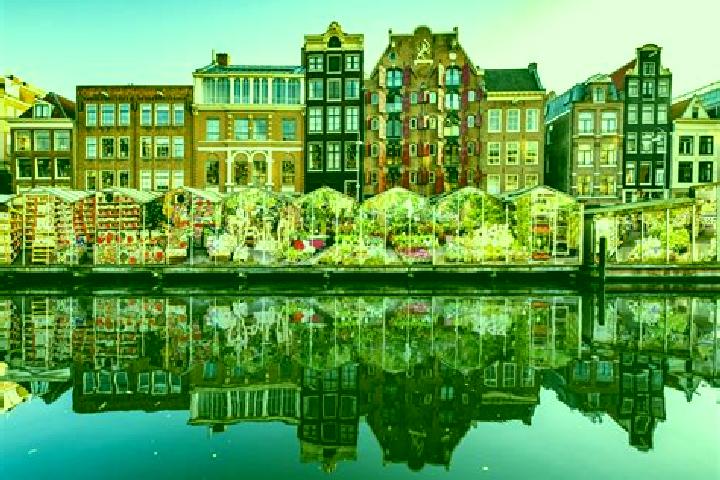 Escorts Veenendaal, Netherlands — Local Companions