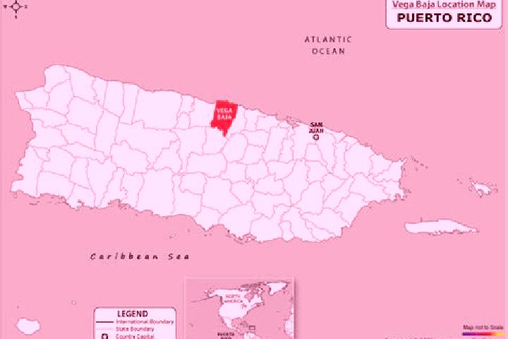 Escorts Vega Baja, Puerto Rico — Local Companions