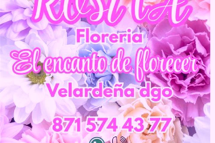 Escorts Velardena, Mexico — Local Companions