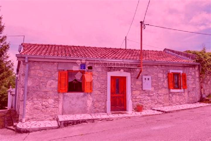 Escorts Veli Brgud, Croatia — Local Companions