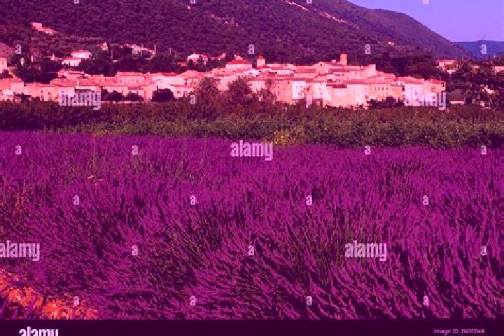 Escorts Venterol, France — Local Companions
