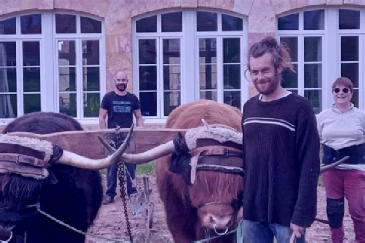 Escorts Vesdun, France — Local Companions