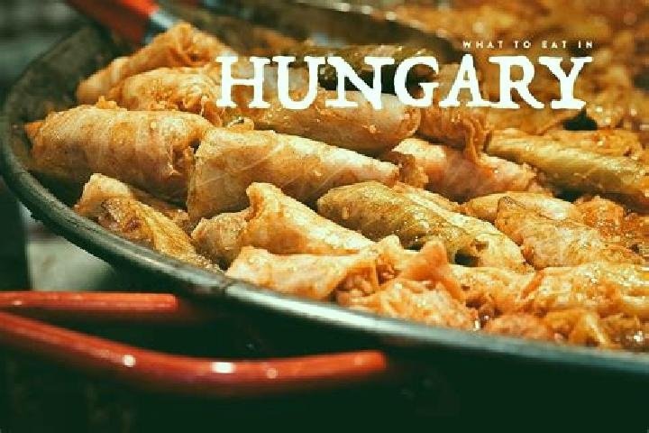 Escorts Veszto, Hungary — Local Companions