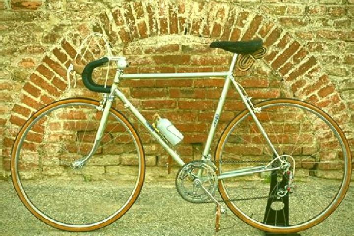 Escorts Via Fausto Coppi, Italy — Local Companions