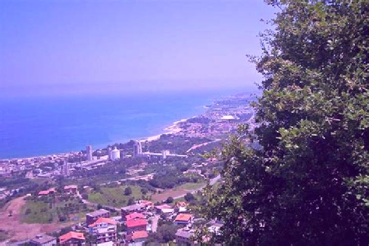 Escorts Vibo Valentia, Italy — Local Companions
