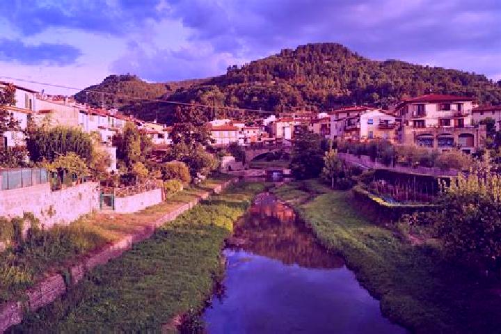 Escorts Vicchio, Italy — Local Companions