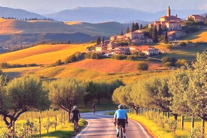 Escorts Vico, Italy — Local Companions