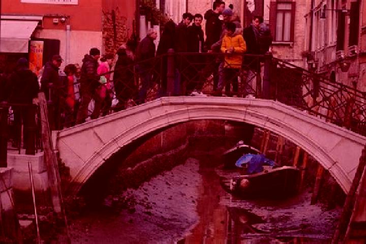 Escorts Vigardolo, Italy — Local Companions