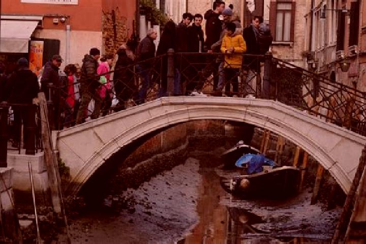Escorts Vignate, Italy — Local Companions