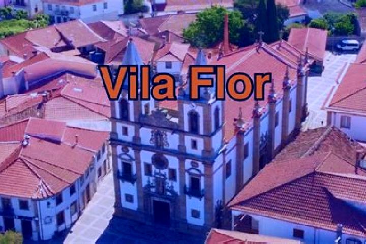 Escorts Vila Flor, Angola — Local Companions