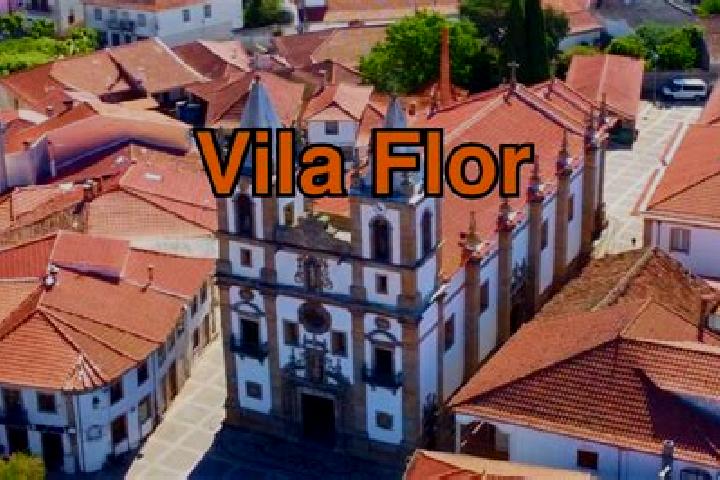Escorts Vila Flor, Portugal — Local Companions