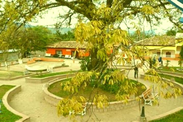 Escorts Villa de San Francisco, Honduras — Local Companions