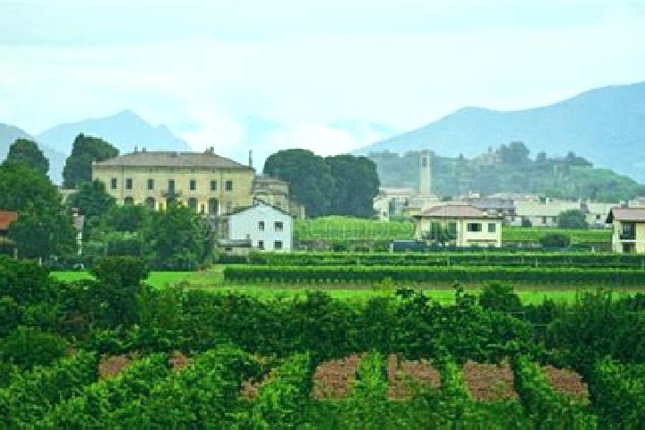 Escorts Villa Pedergnano, Italy — Local Companions