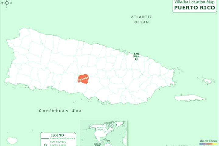 Escorts Villalba, Puerto Rico — Local Companions