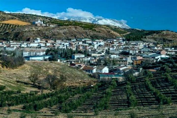 Escorts Villamayor de los Montes, Spain — Local Companions