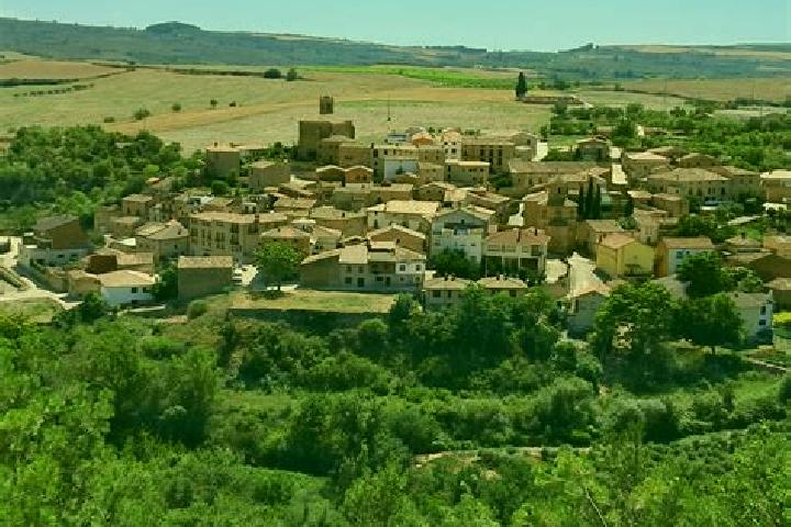 Escorts Villaverde del Rio, Spain — Local Companions