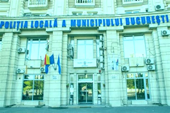 Escorts Vingard, Romania — Local Companions