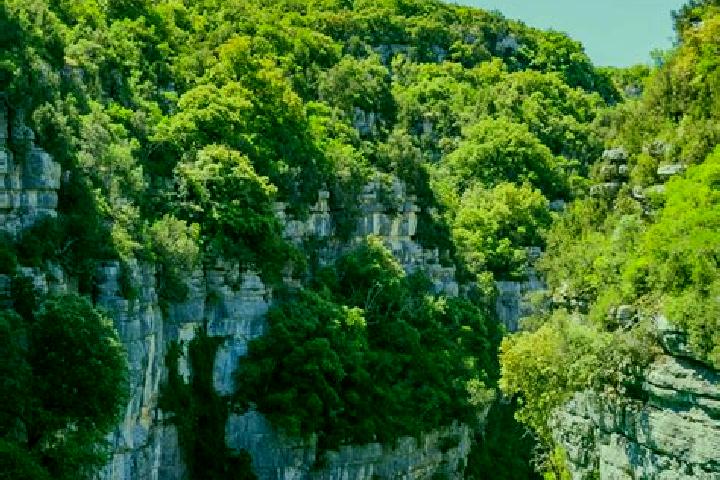 Escorts Vinon-sur-Verdon, France — Local Companions
