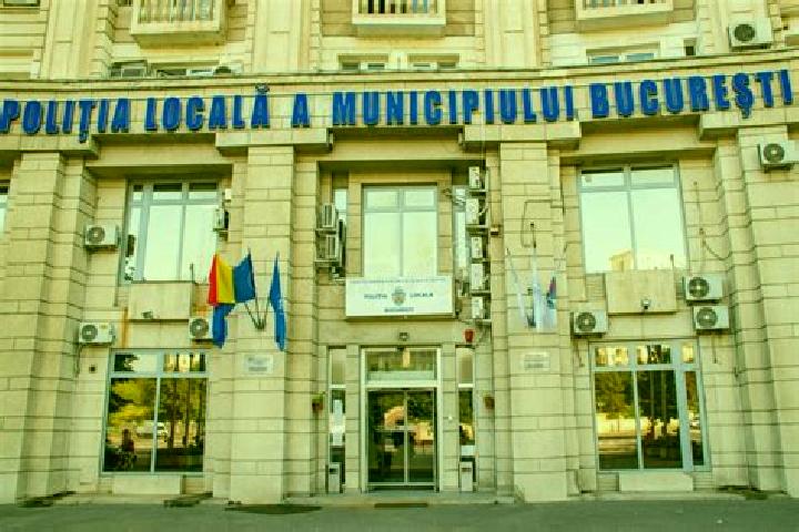 Escorts Vlasca, Romania — Local Companions