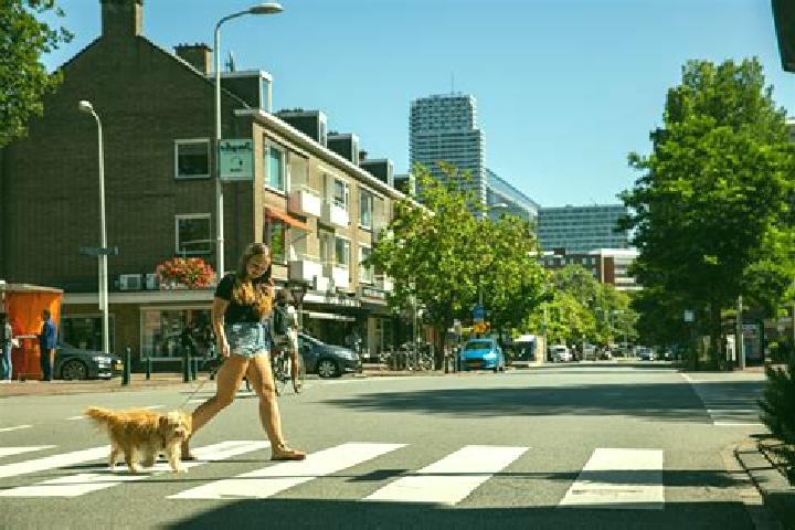 Escorts Vogelwijk, Netherlands — Local Companions