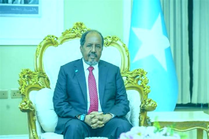 Escorts Waajid, Somalia — Local Companions