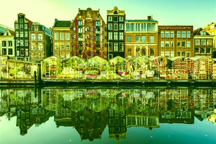 Escorts Waalre, Netherlands — Local Companions