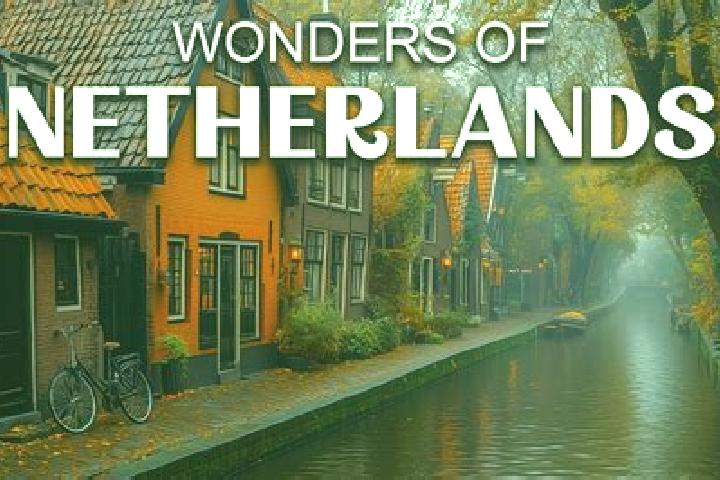 Escorts Waarland, Netherlands — Local Companions