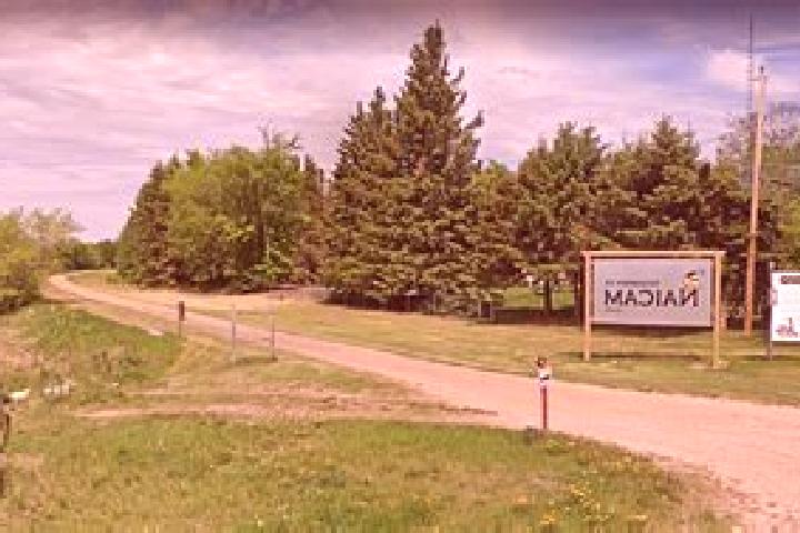 Escorts Wadena, Canada — Local Companions
