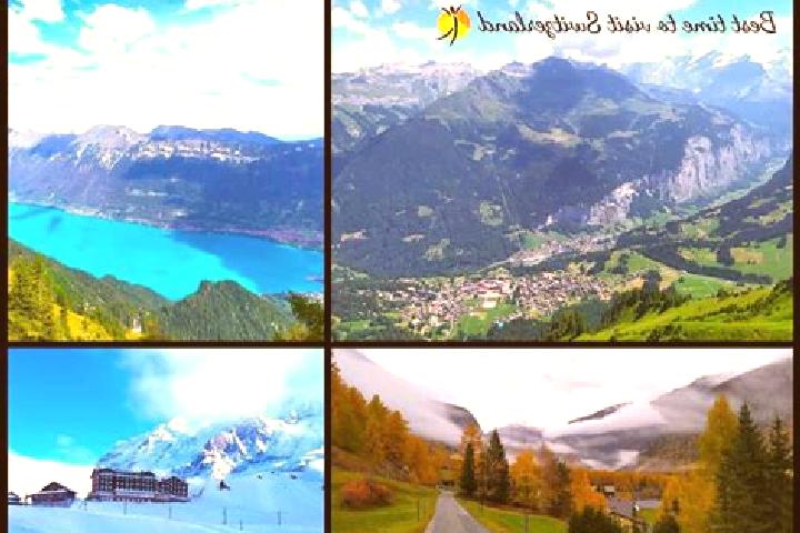 Escorts Waedenswil / Bueelen, Switzerland — Local Companions