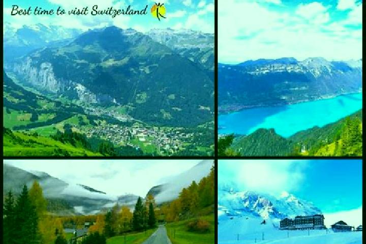 Escorts Waedenswil / Eichweid, Switzerland — Local Companions