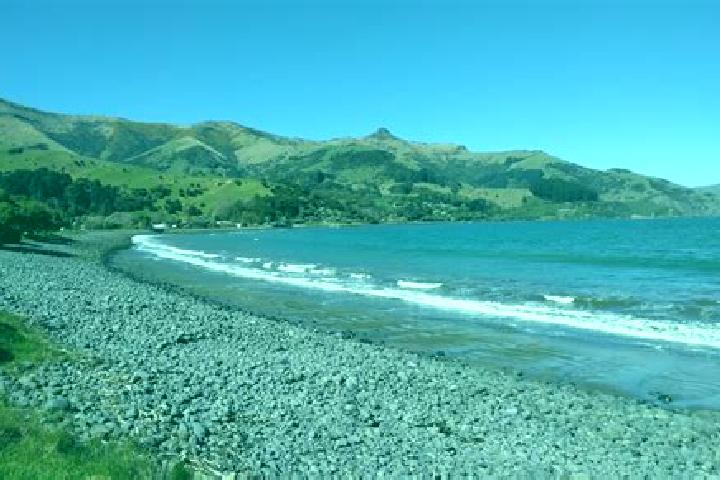 Escorts Wainui, New Zealand — Local Companions