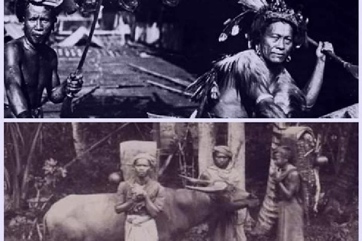 Escorts Wajak, Indonesia — Local Companions