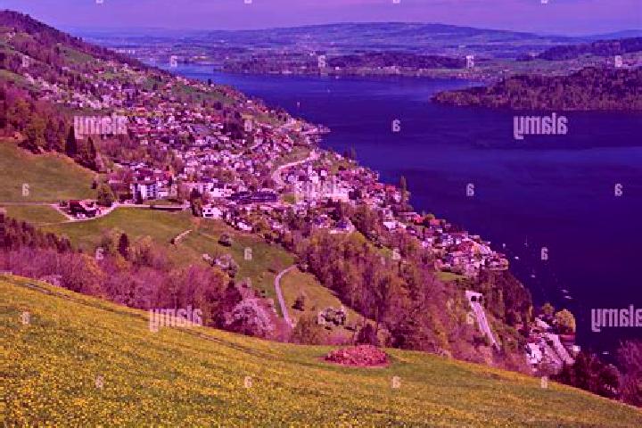 Escorts Walchwil, Switzerland — Local Companions
