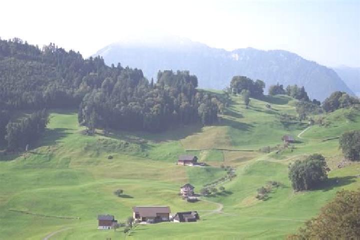 Escorts Waldkirch, Switzerland — Local Companions