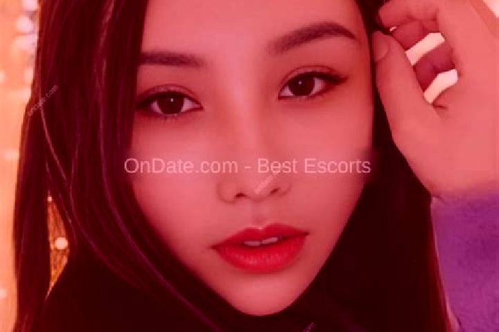 Escorts Wanquan, China — Local Companions