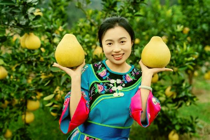 Escorts Wanshan, China — Local Companions