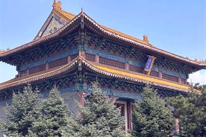 Escorts Wanshou, China — Local Companions
