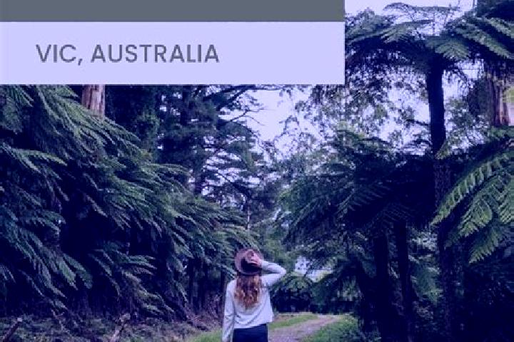 Escorts Warburton, Australia — Local Companions