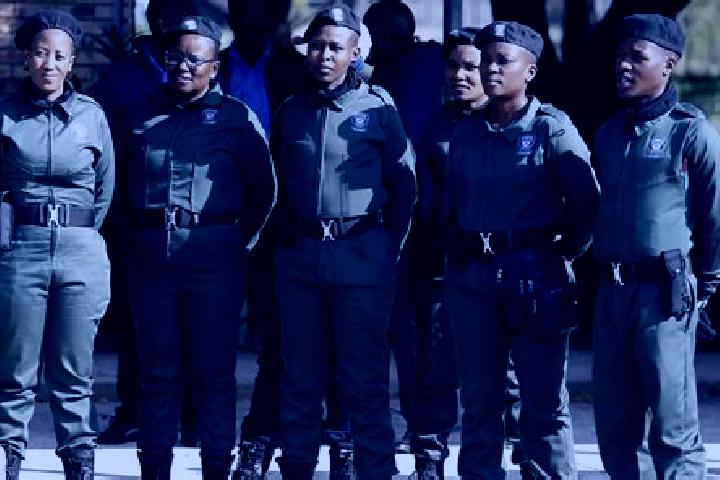 Escorts Warden, South Africa — Local Companions