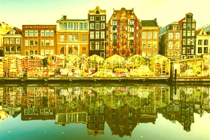 Escorts Waterdonken, Netherlands — Local Companions