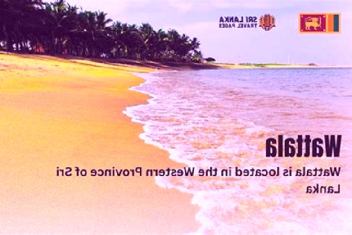 Escorts Wattala, Sri Lanka — Local Companions