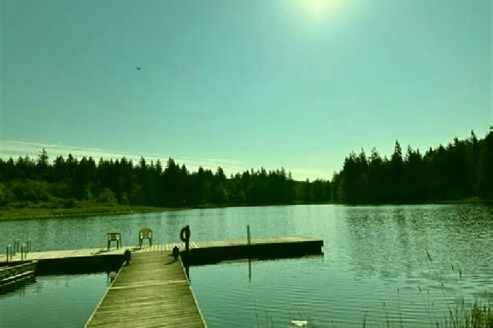 Escorts Weallup Lake, United States — Local Companions