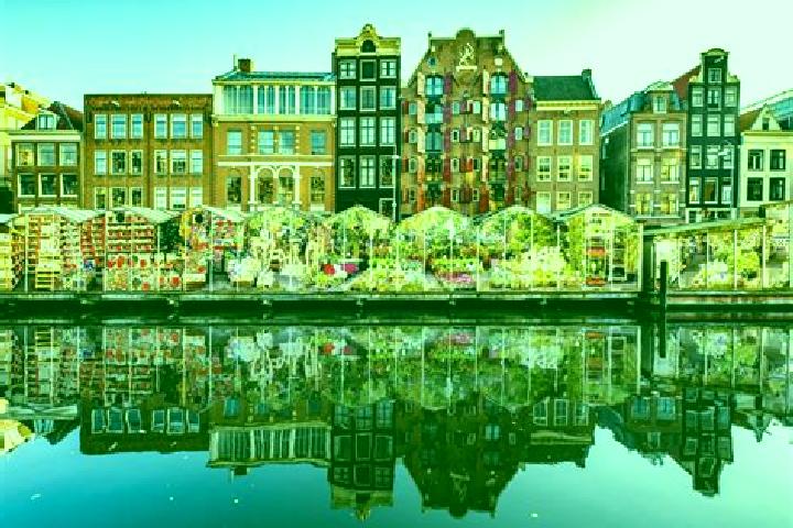 Escorts Wedde, Netherlands — Local Companions
