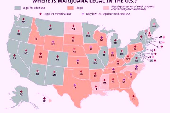 Escorts Weed, United States — Local Companions