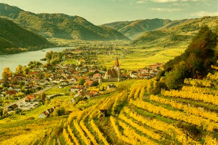 Escorts Weissenkirchen in der Wachau, Austria — Local Companions
