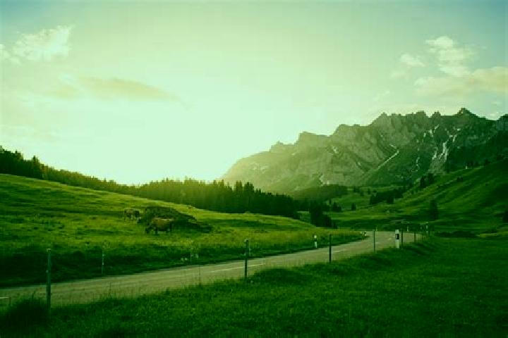 Escorts Weisslingen, Switzerland — Local Companions