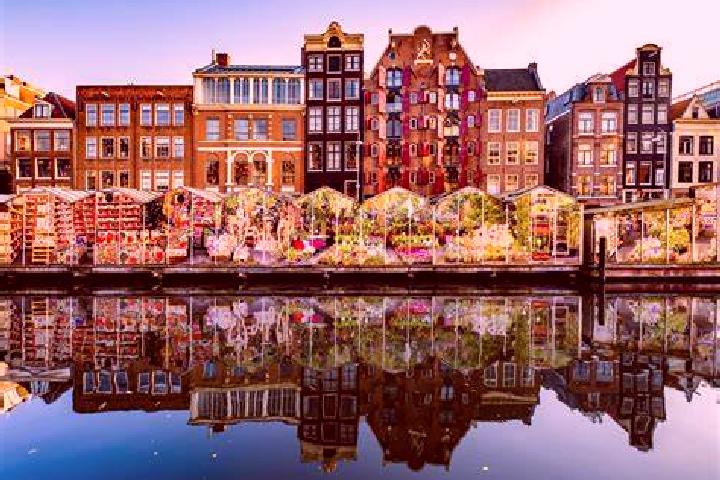 Escorts Wekerom, Netherlands — Local Companions